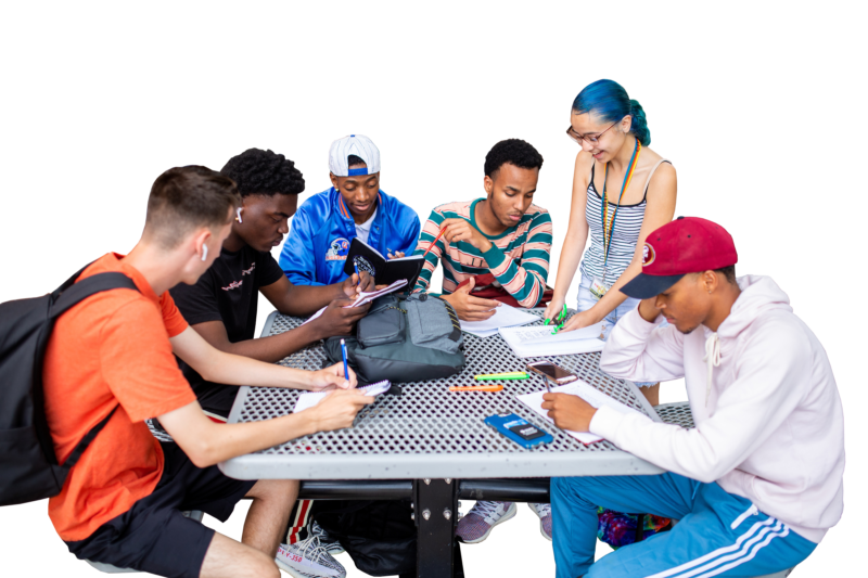 Students studying outdoors.